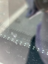 IMG_4030.jpeg