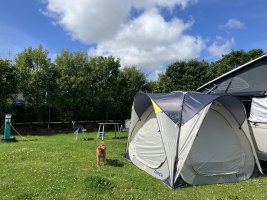 IMG_6082.jpeg