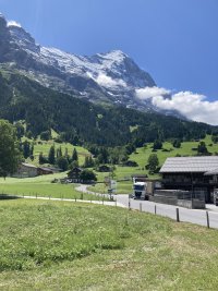 IMG_2694.jpeg