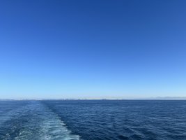 IMG_1441.jpeg IMG_1441.jpeg