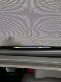 IMG_1359.jpeg