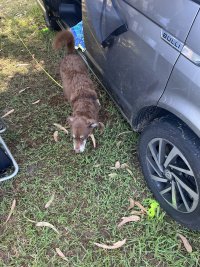 IMG_4858.jpeg
