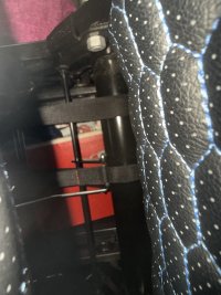 IMG_2321.jpeg