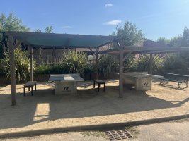 IMG_1478.jpeg
