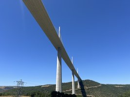 IMG_1516.jpeg