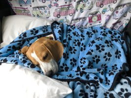 IMG_8688.jpeg