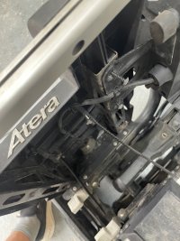 IMG_7196.jpeg