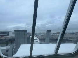 IMG_1650.jpeg