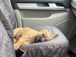 IMG_5407.jpeg