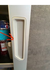 IMG_7301.jpeg
