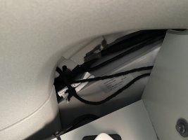 IMG_7308.jpeg