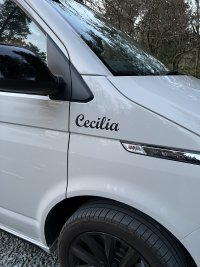 Cecilia.jpg