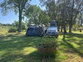 IMG_4856.jpeg