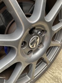 IMG_7331.jpeg