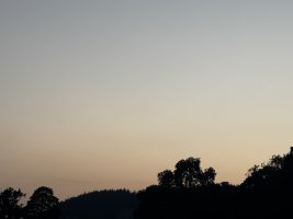 IMG_5490.jpeg