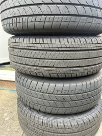 IMG_5023.jpeg IMG_5023.jpeg