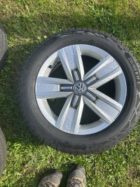 IMG_5066.jpeg IMG_5066.jpeg