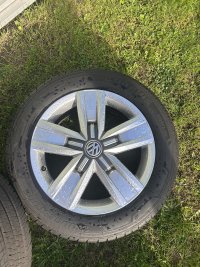 IMG_5065.jpeg IMG_5065.jpeg