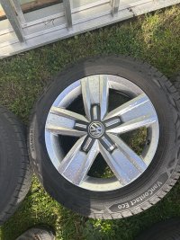 IMG_5064.jpeg IMG_5064.jpeg