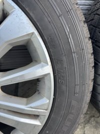 IMG_6720 Medium.jpeg