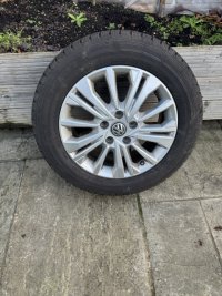 IMG_6714 Medium.jpeg