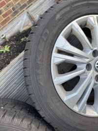 IMG_6719 Medium.jpeg