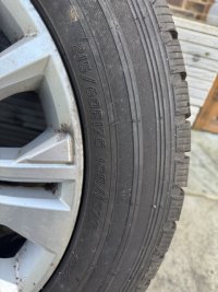 IMG_6718 Medium.jpeg