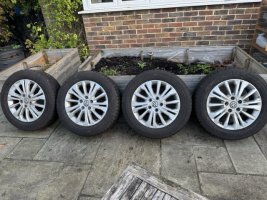 IMG_6717 Medium.jpeg