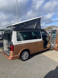 IMG_9924.jpeg IMG_9924.jpeg