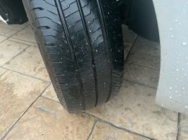 IMG_1995.jpeg IMG_1995.jpeg