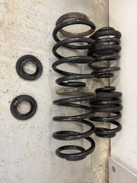 IMG_0156.jpeg IMG_0156.jpeg