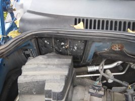 IMG_20241011_164806.jpg IMG_20241011_164806.jpg