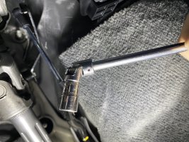 IMG_7824.jpeg IMG_7824.jpeg