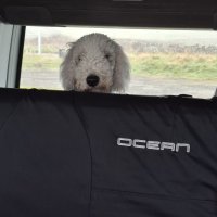 20250321_080028.jpg 20250321_080028.jpg