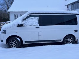 IMG_2935.jpeg IMG_2935.jpeg