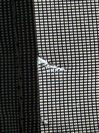 IMG_4421.jpeg IMG_4421.jpeg