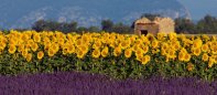 Provence 960x417.jpg