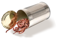 can-of-worms.png