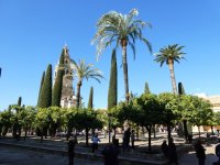 10c Cordoba - perfect weather for a visit.JPG