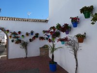16b Estepona - walls covered with flowering pots.JPG