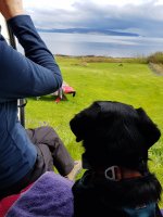 20190510_144658.jpg