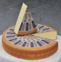 Swiss Cheese.jpg