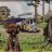 Border Reiver