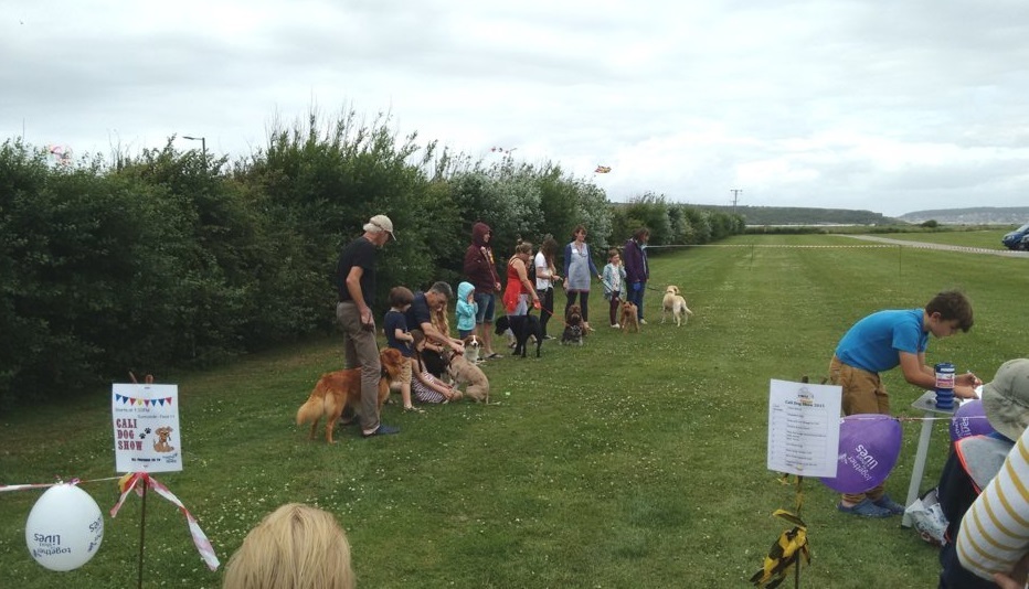 COTF 2015 - Dog Show