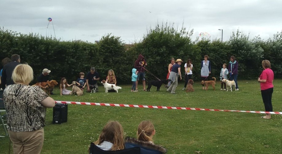 COTF 2015 - Dog Show