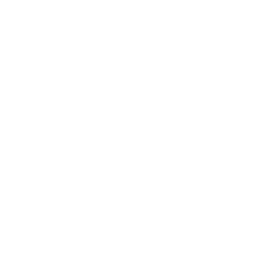 www.poessl-vanline.de