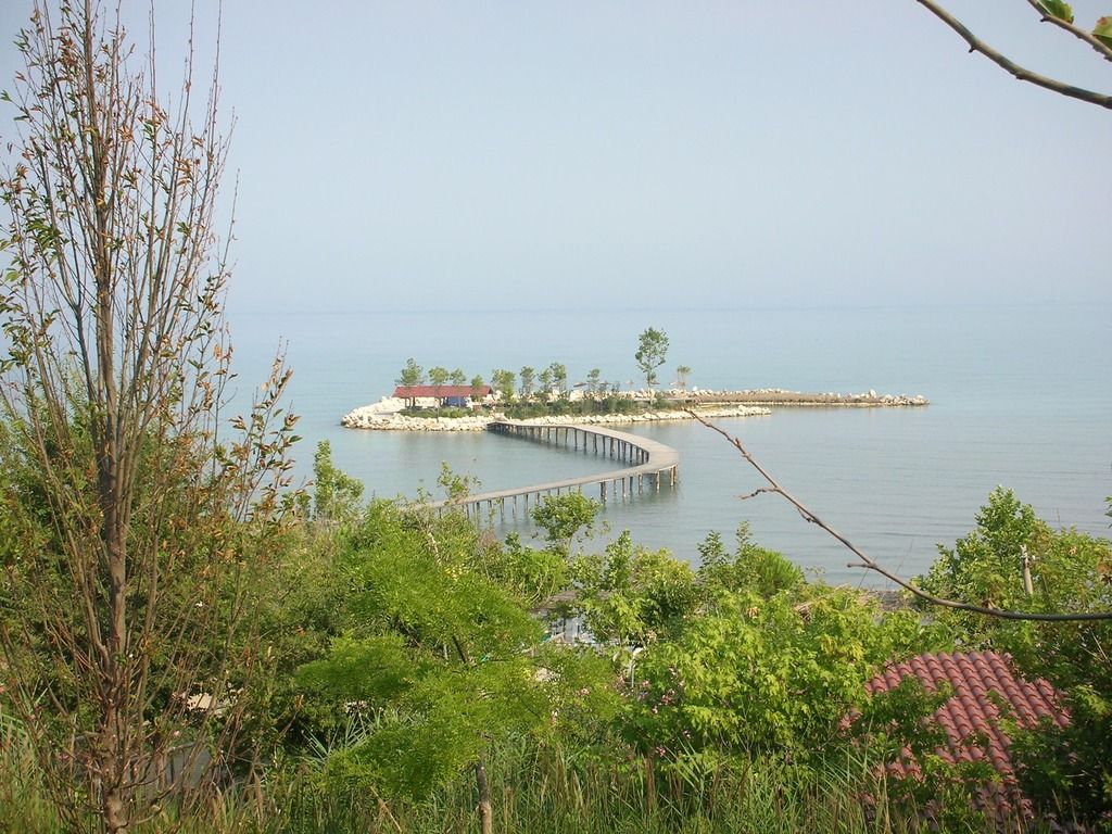 DSCN5857_zpst8vabbvq.jpg
