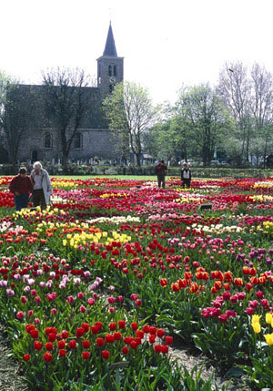 HortusBulborum05m.jpg