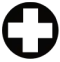 www.swissvans.com