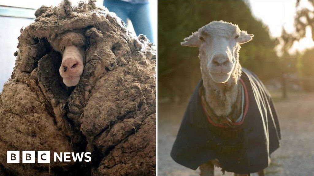 www.bbc.co.uk